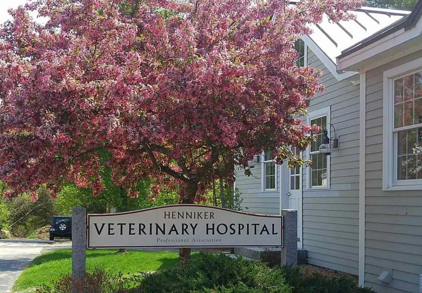 Pink trees in front of the clinic by the sign.